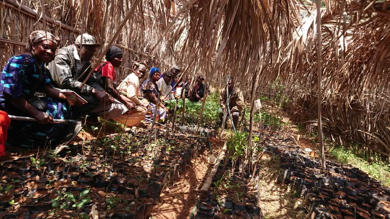 Agroforestry Training program